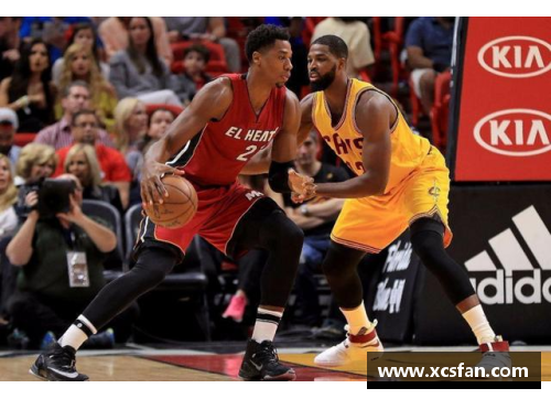 2005年NBA赛季数据分析与球员表现综述