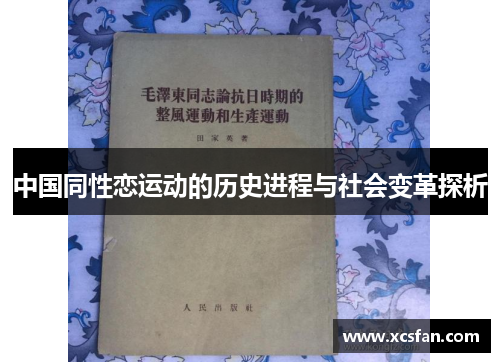 中国同性恋运动的历史进程与社会变革探析