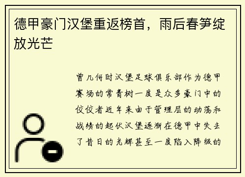 德甲豪门汉堡重返榜首，雨后春笋绽放光芒