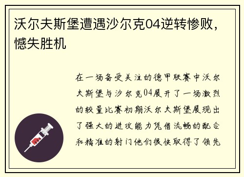 沃尔夫斯堡遭遇沙尔克04逆转惨败，憾失胜机