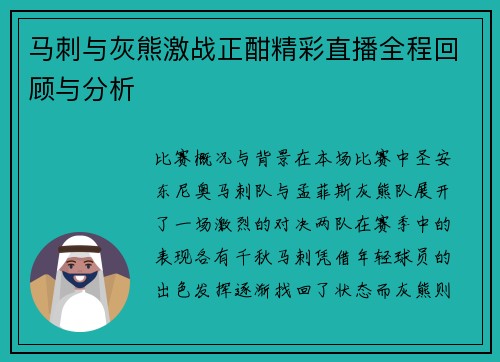 马刺与灰熊激战正酣精彩直播全程回顾与分析